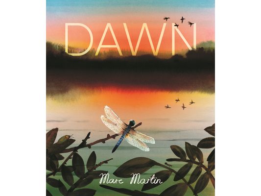 Dawn: Watch the World Awaken