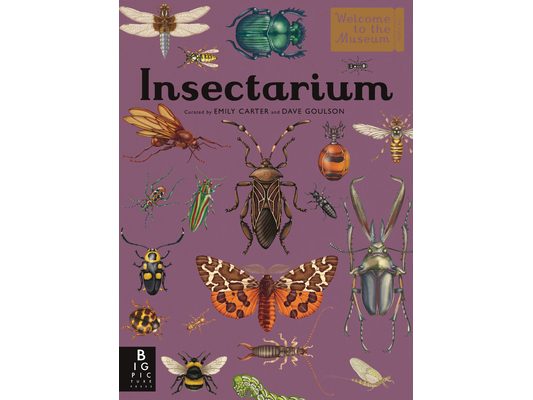 Insectarium: Welcome to the Museum (an Illustrated Junior Entomology Guide to Wild Bug Species, Biodiversity, and Nature Conservation for Kids Ages 8-
