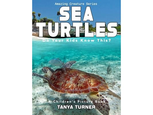 SEA TURTLES Do Your Kids Know This?: A Children's Picture Book