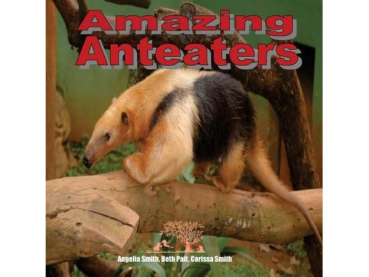 Amazing Anteaters