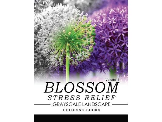 Blossom Stress Relief GRAYSCALE Landscape Coloring Books Volume 1