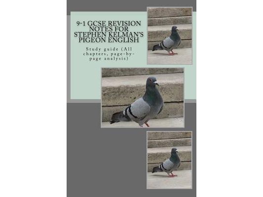 9-1 GCSE REVISION NOTES for STEPHEN KELMAN'S PIGEON ENGLISH: Study guide (All chapters, page-by-page analysis)