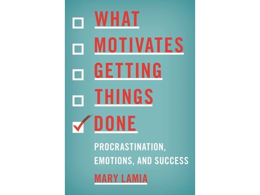 What Motivates Getting Things Done: Procrastination, Emotions, and Success