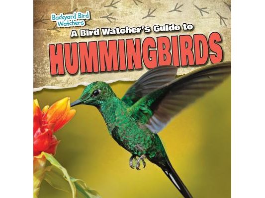 A Bird Watcher's Guide to Hummingbirds