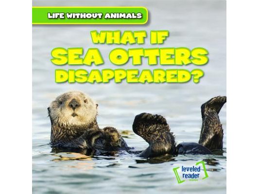 What If Sea Otters Disappeared?