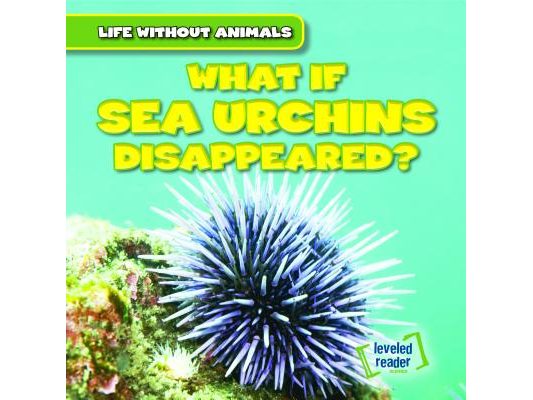 What If Sea Urchins Disappeared?