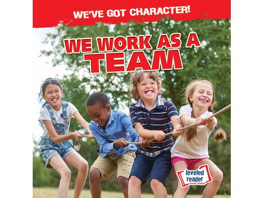 We Work as a Team