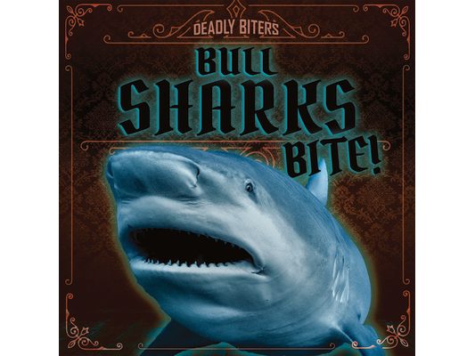 Bull Sharks Bite!