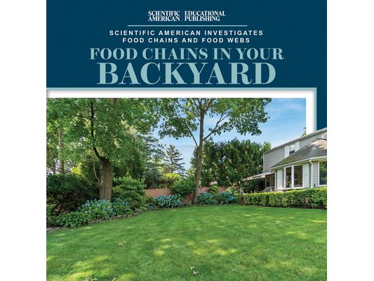 Food Chains in Your Backyard