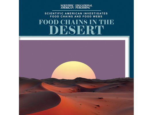 Food Chains in the Desert