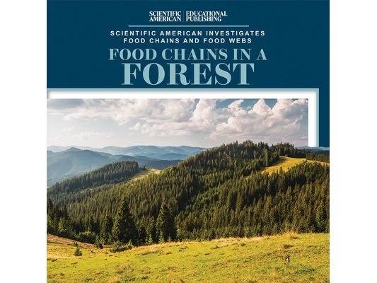Food Chains in a Forest