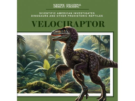 Velociraptor