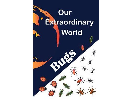 Our Extraordinary World: Bugs