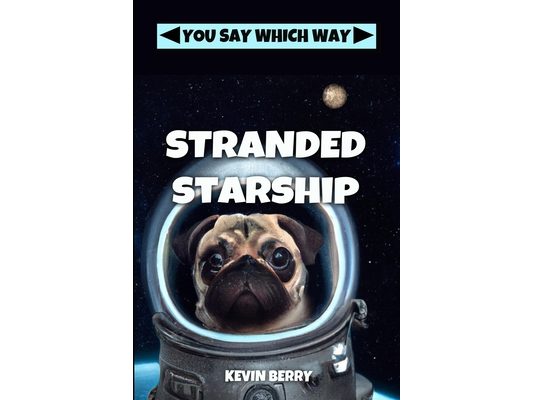 Stranded Starship