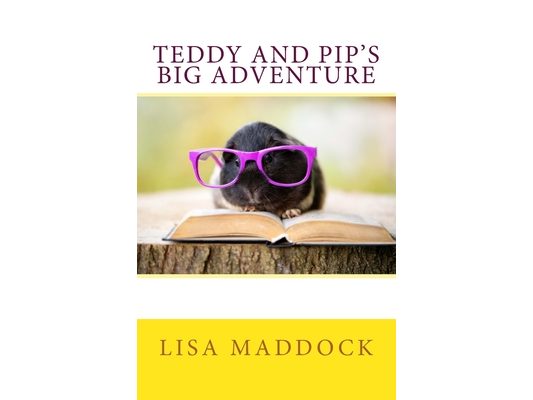 Teddy and Pip's Big Adventure: A Teddy and Pip Story