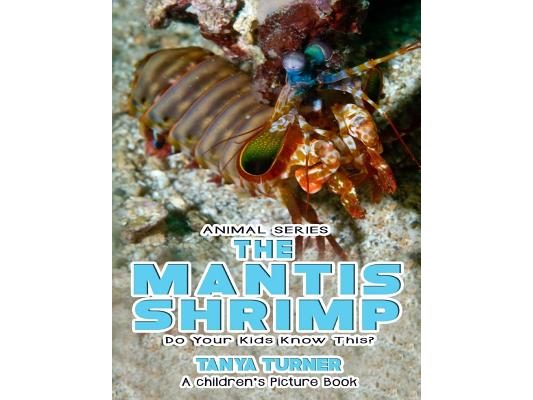 THE MANTIS SHRIMP Do Your Kids Know This?: A Children's Picture Book