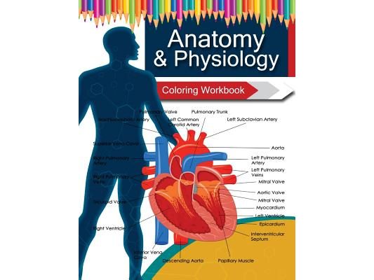 Anatomy & Physiology Coloring WorkBook Books
