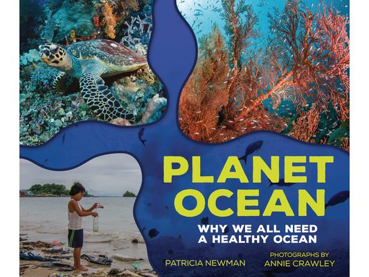 Planet Ocean: Why We All Need a Healthy Ocean