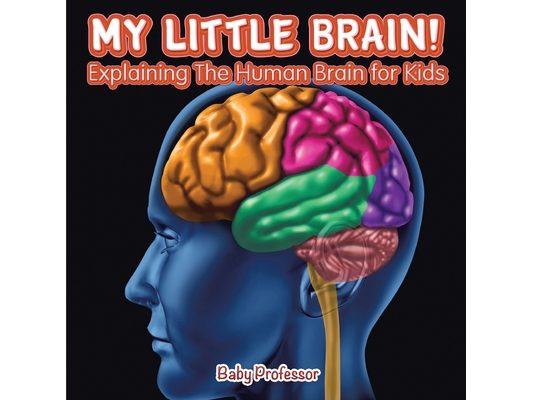 My Little Brain! - Explaining The Human Brain for Kids