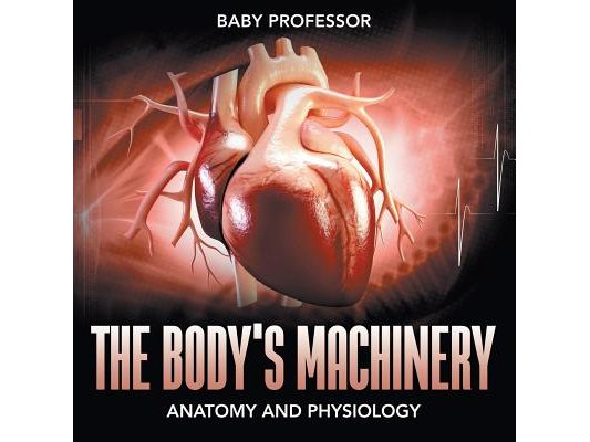 The Body's Machinery Anatomy and Physiology