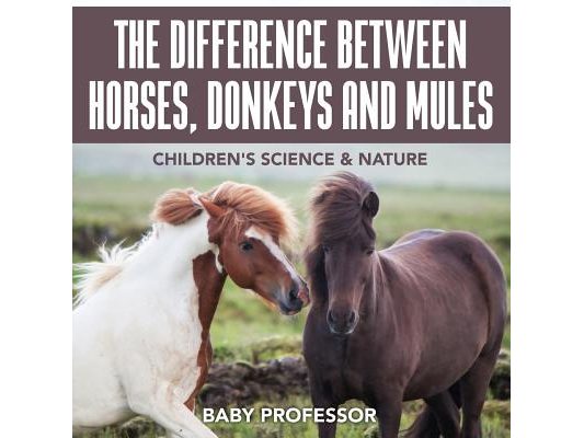 The Difference Between Horses, Donkeys and Mules Children's Science & Nature