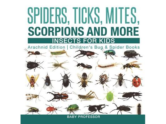 Spiders, Ticks, Mites, Scorpions and More Insects for Kids - Arachnid Edition Children's Bug & Spider Books