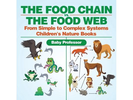 The Food Chain vs. The Food Web - From Simple to Complex Systems Children's Nature Books