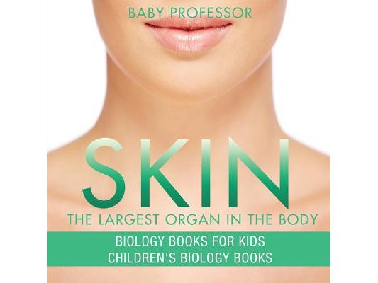 Skin: The Largest Organ In The Body - Biology Books for Kids Children's Biology Books