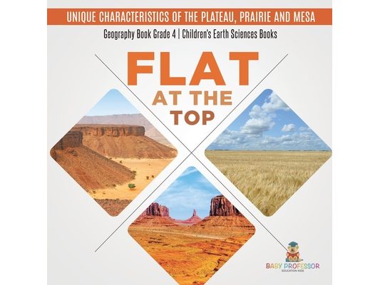 Flat at the Top: Unique Characteristics of the Plateau, Prairie and Mesa Geography Book Grade 4 Children's Earth Sciences Books