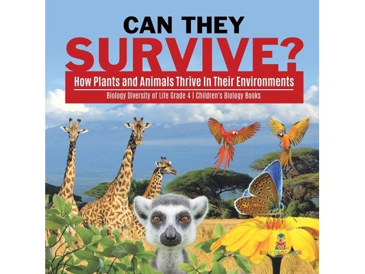Can They Survive?: How Plants and Animals Thrive In Their Environments Biology Diversity of Life Grade 4 Children's Biology Books