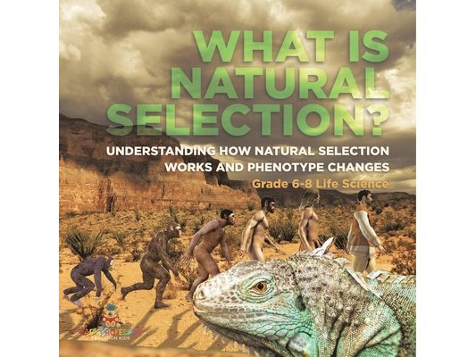 What is Natural Selection? Understanding How Natural Selection Works and Phenotype Changes Grade 6-8 Life Science