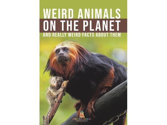 Weird Animals on the Planet and Really Weird Facts About Them