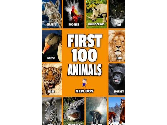 First 100 Animals: Full Color Animals Book
