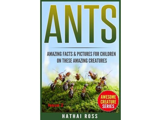 Ants: Amazing Facts & Pictures for Children on These Amazing Creatures
