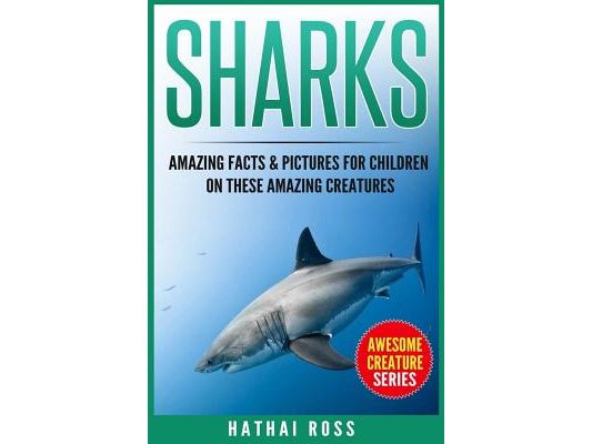 Sharks: Amazing Facts & Pictures for Children on These Amazing Creatures