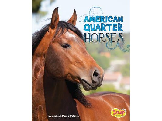 American Quarter Horses