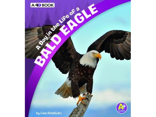 A Day in the Life of a Bald Eagle: A 4D Book