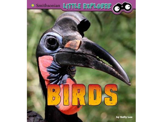 Birds: A 4D Book