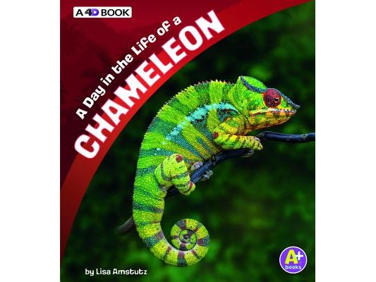 A Day in the Life of a Chameleon: A 4D Book