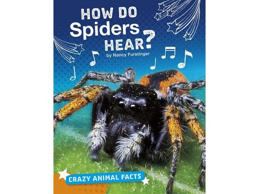 How Do Spiders Hear?
