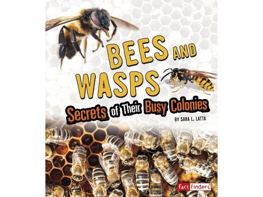 Bees and Wasps: Secrets of Their Busy Colonies