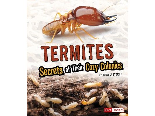 Termites: Secrets of Their Cozy Colonies