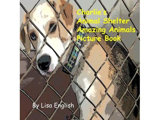 Charlie's Animal Shelter Amazing Animals