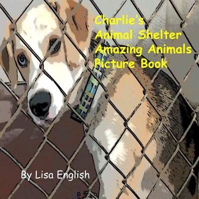 listing photo 1/1