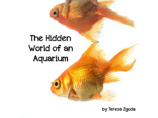 The Hidden World of an Aquarium