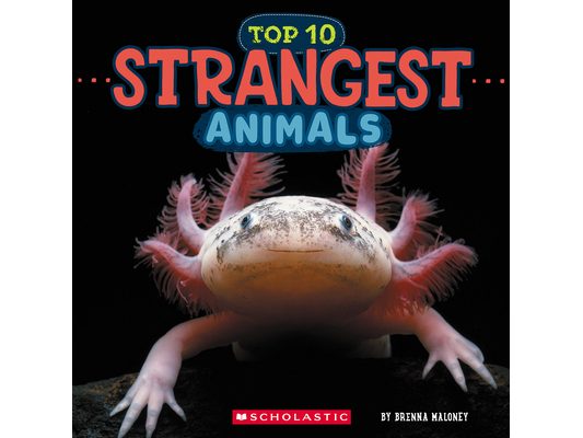 Strangest Animals (Wild World: Top 10)