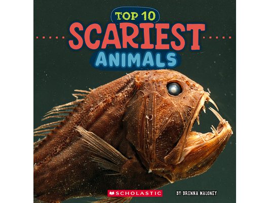 Top 10 Scariest Animals (Wild World)