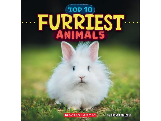 Furriest Animals (Wild World: Top 10)