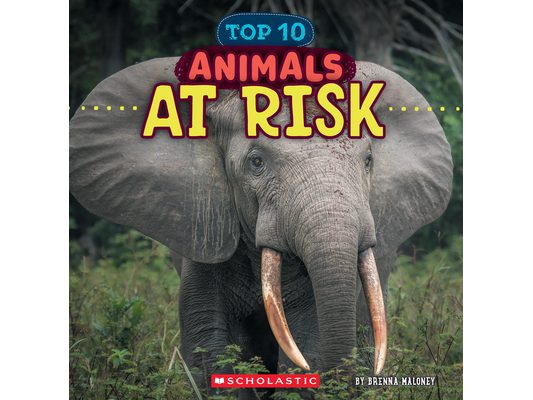 Animals at Risk (Wild World: Top 10)