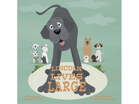 Lincoln Lives Large